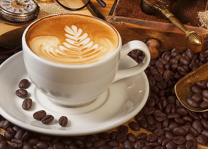 キャンプ場 Playa La Arena Isla Plana